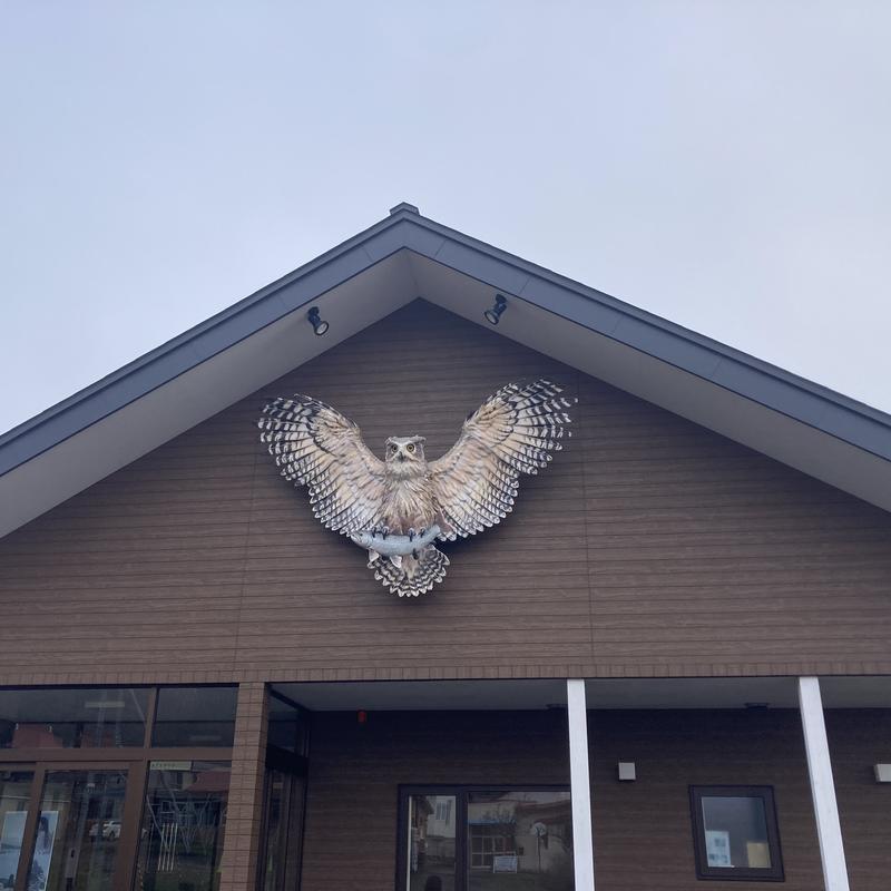 ainu owl ainu owl